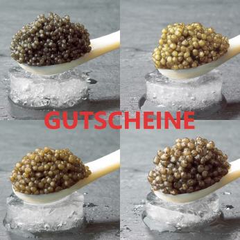 Käse Guschein vom Alpensepp